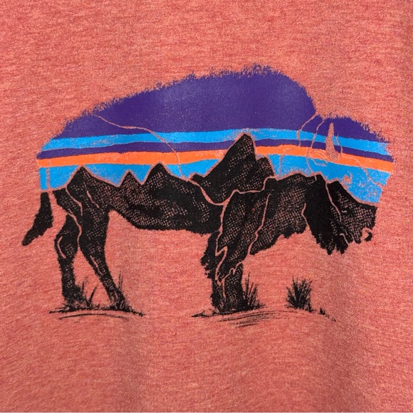 Patagonia Fitz Roy Bison Ahnya Crew Sweatshirt Women’s Size Large - Picture 2 of 8